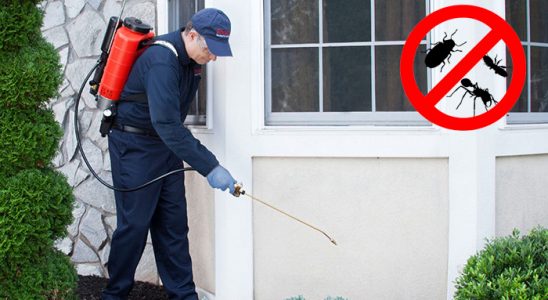 Çaycuma Akrep İlaçlama böcek ilaçlama ve haşere kontrolü — ilaclama-tr.com